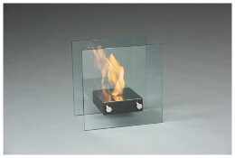 Биокамин Silver Smith ACE